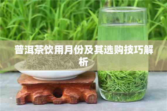 普洱茶饮用月份及其选购技巧解析