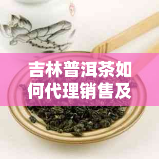 吉林普洱茶如何代理销售及加盟加工，费用与代理细节解析