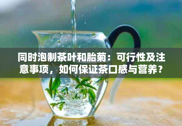 同时泡制茶叶和胎菊：可行性及注意事项，如何保证茶口感与营养？