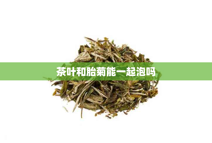 茶叶和胎菊能一起泡吗