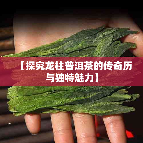 【探究龙柱普洱茶的传奇历与独特魅力】