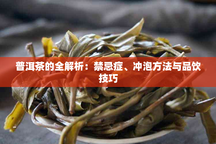 普洱茶的全解析：禁忌症、冲泡方法与品饮技巧