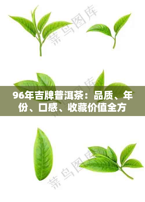 96年吉牌普洱茶：品质、年份、口感、收藏价值全方位解析与品鉴指南