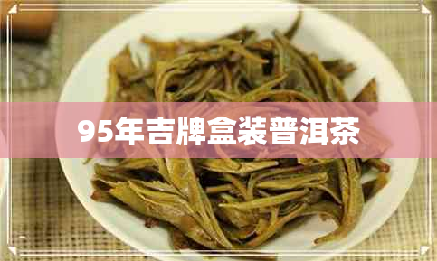 95年吉牌盒装普洱茶