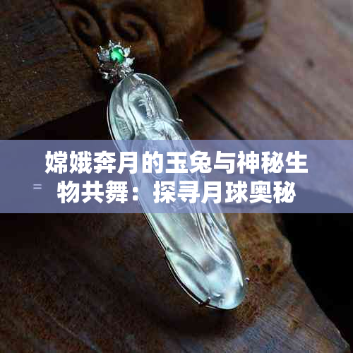 嫦娥奔月的玉兔与神秘生物共舞：探寻月球奥秘