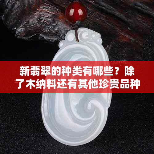 新翡翠的种类有哪些？除了木纳料还有其他珍贵品种吗？