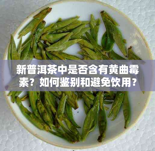 新普洱茶中是否含有黄曲霉素？如何鉴别和避免饮用？