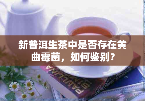 新普洱生茶中是否存在黄曲霉菌，如何鉴别？