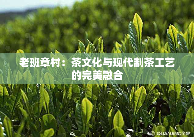 老班章村：茶文化与现代制茶工艺的完美融合