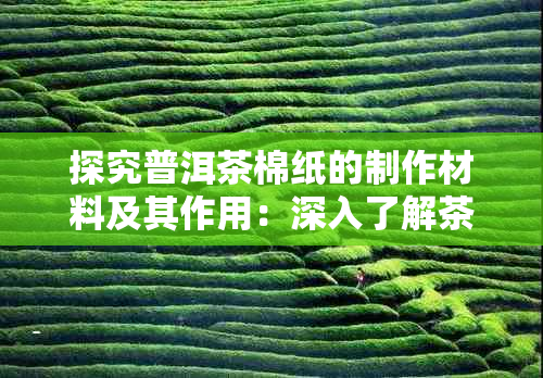 探究普洱茶棉纸的制作材料及其作用：深入了解茶叶包装的秘密