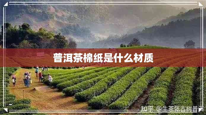 普洱茶棉纸是什么材质