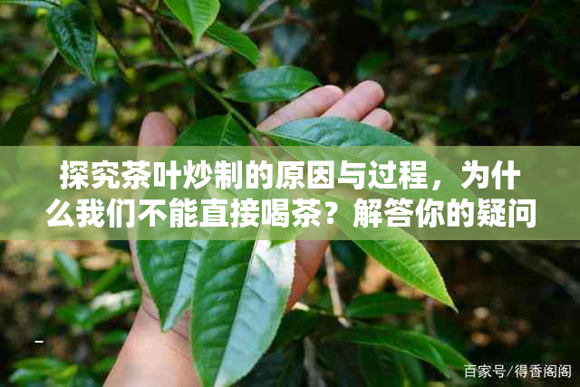 探究茶叶炒制的原因与过程，为什么我们不能直接喝茶？解答你的疑问！