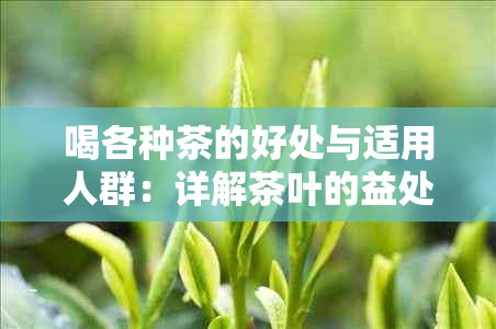 喝各种茶的好处与适用人群：详解茶叶的益处及不适合饮用的人