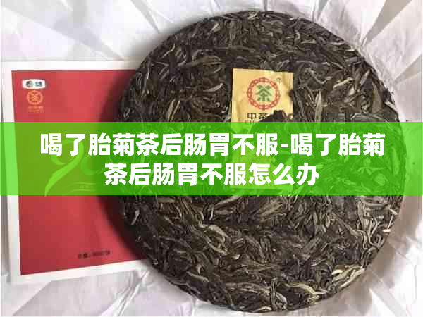 喝了胎菊茶后肠胃不服-喝了胎菊茶后肠胃不服怎么办