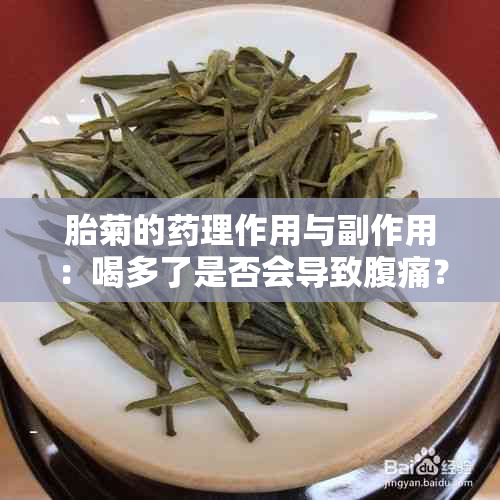 胎菊的理作用与副作用：喝多了是否会导致腹痛？