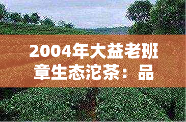 2004年大益老班章生态沱茶：品质特点、制作工艺与品鉴方法全面解析