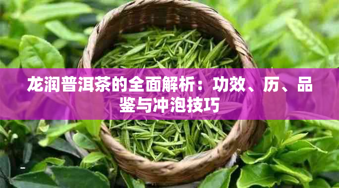 龙润普洱茶的全面解析：功效、历、品鉴与冲泡技巧