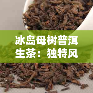 冰岛母树普洱生茶：独特风味与市场价值分析