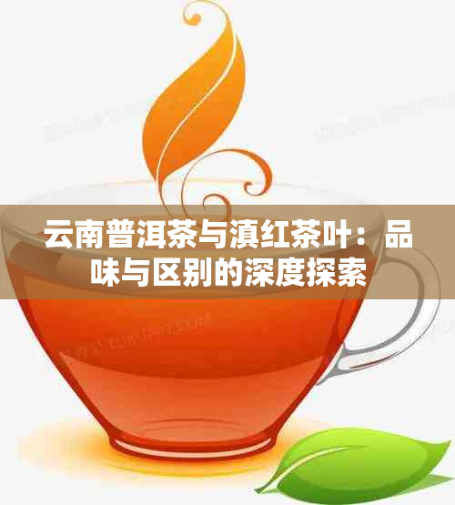 云南普洱茶与滇红茶叶：品味与区别的深度探索