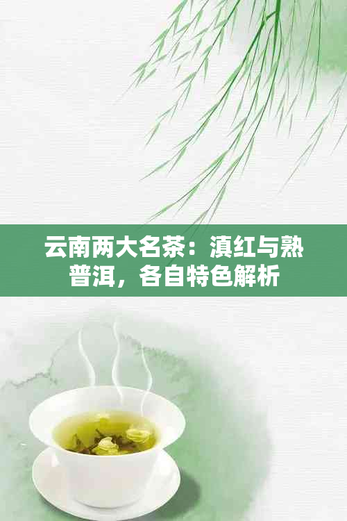 云南两大名茶：滇红与熟普洱，各自特色解析