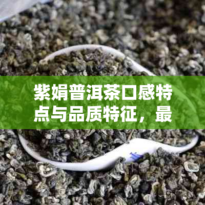 紫娟普洱茶口感特点与品质特征，最新价格解析