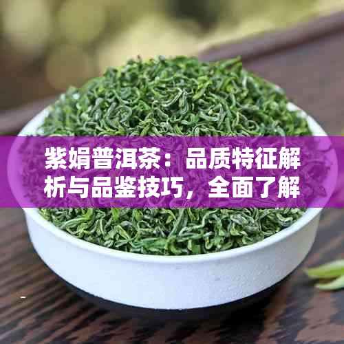 紫娟普洱茶：品质特征解析与品鉴技巧，全面了解这款名茶的魅力所在