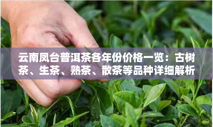 云南凤台普洱茶各年份价格一览：古树茶、生茶、熟茶、散茶等品种详细解析