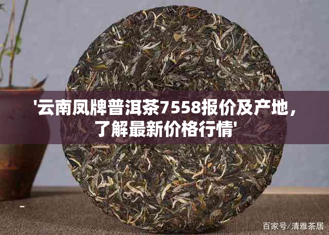 '云南凤牌普洱茶7558报价及产地，了解最新价格行情'