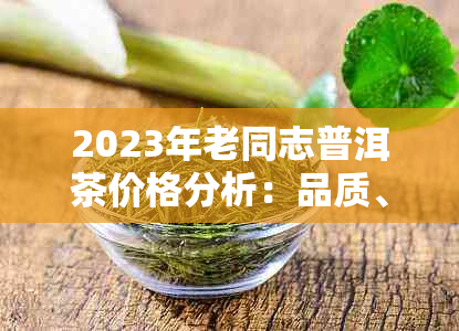 2023年老同志普洱茶价格分析：品质、年份与市场走势