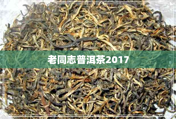 老同志普洱茶2017