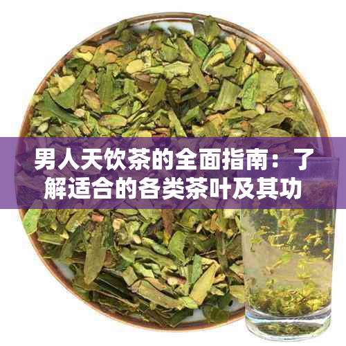 男人天饮茶的全面指南：了解适合的各类茶叶及其功效