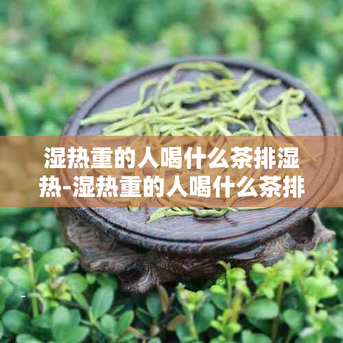 湿热重的人喝什么茶排湿热-湿热重的人喝什么茶排湿热