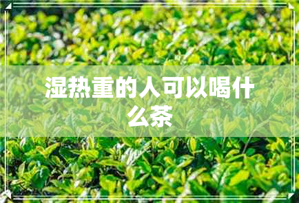 湿热重的人可以喝什么茶