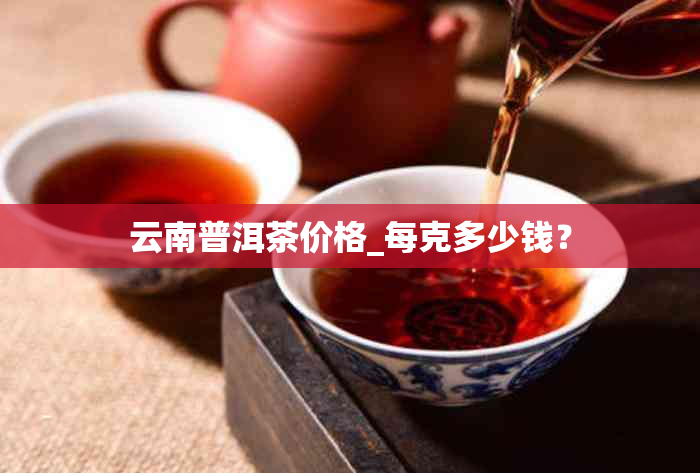 云南普洱茶价格_每克多少钱？