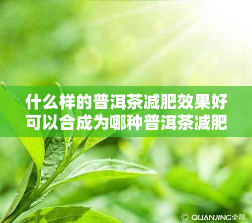 什么样的普洱茶减肥效果好可以合成为哪种普洱茶减肥效果。