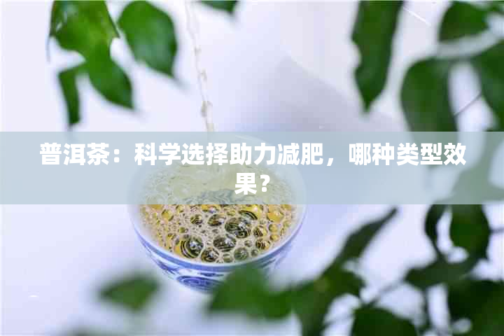 普洱茶：科学选择助力减肥，哪种类型效果？