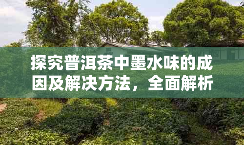 探究普洱茶中墨水味的成因及解决方法，全面解析普洱茶的独特风味