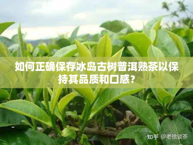 如何正确保存冰岛古树普洱熟茶以保持其品质和口感？