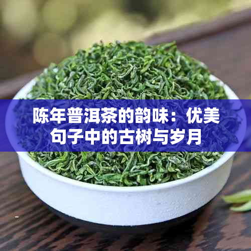 陈年普洱茶的韵味：优美句子中的古树与岁月