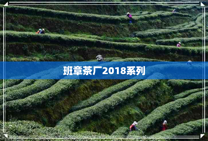 班章茶厂2018系列