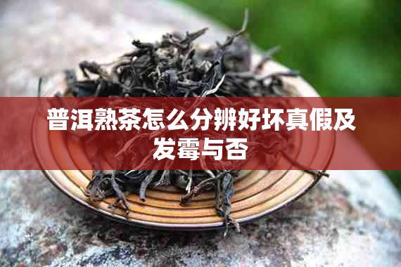 普洱熟茶怎么分辨好坏真假及发霉与否