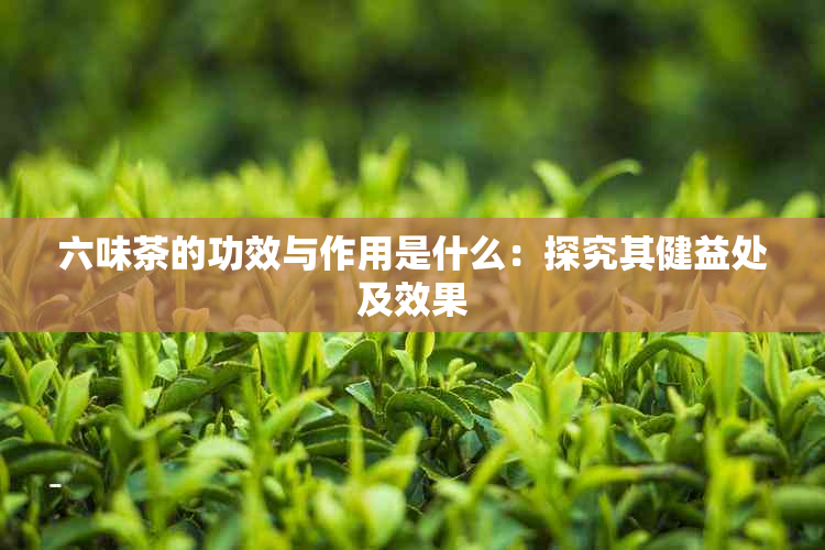 六味茶的功效与作用是什么：探究其健益处及效果