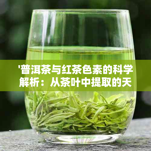 '普洱茶与红茶色素的科学解析：从茶叶中提取的天然色素特性与应用'