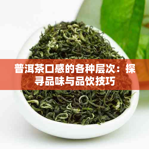 普洱茶口感的各种层次：探寻品味与品饮技巧