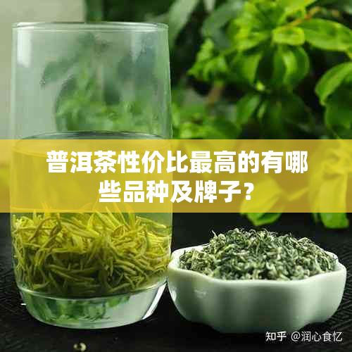 普洱茶性价比更高的有哪些品种及牌子？