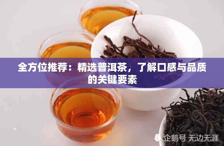 全方位推荐：精选普洱茶，了解口感与品质的关键要素