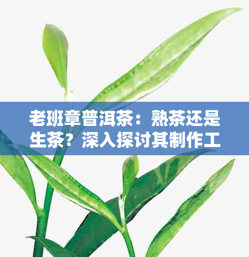 老班章普洱茶：熟茶还是生茶？深入探讨其制作工艺与品鉴技巧