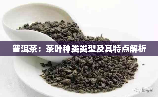 普洱茶：茶叶种类类型及其特点解析