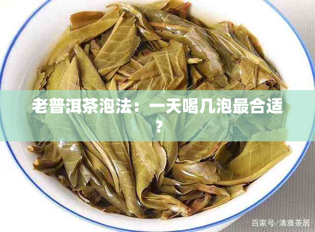 老普洱茶泡法：一天喝几泡最合适？