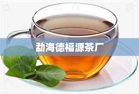 勐海德福源茶厂